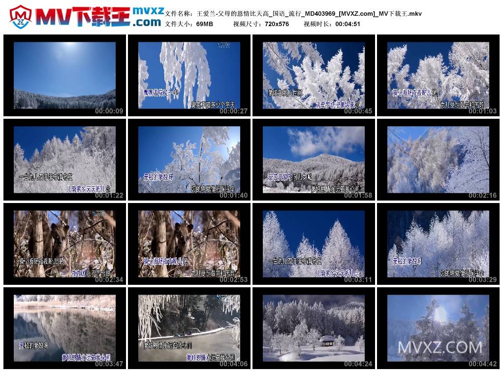 王爱兰-父母的恩情比天高_国语_流行_MD403969